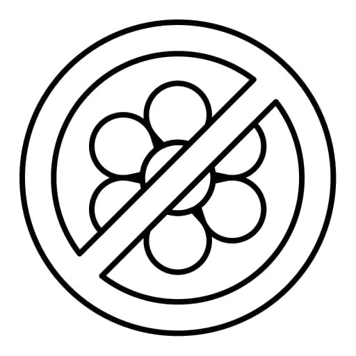 No Synthetic Fragrance - Botani Bestie